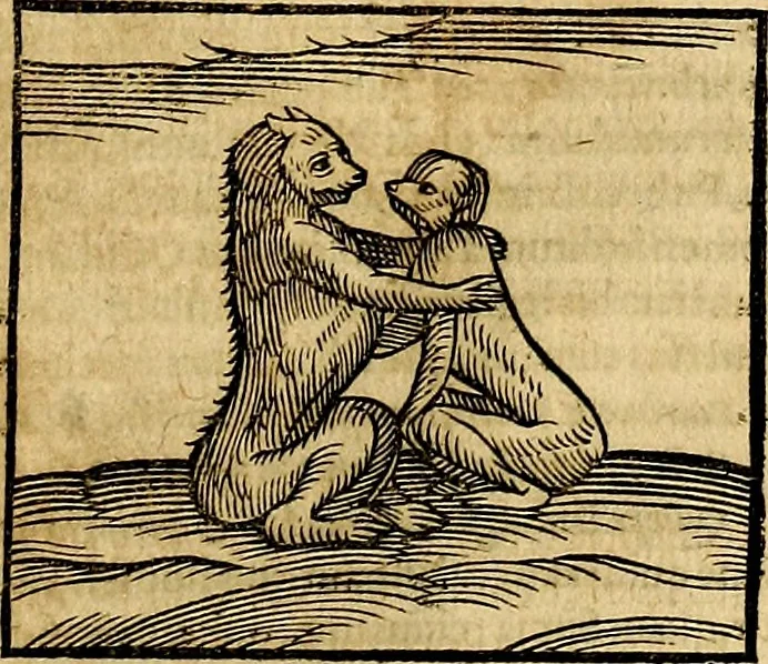 An illustration from Ioannis Pierii Valeriani Bellvnesis Hieroglyphica, sive De sacris Aegypticrvm aliarumq[ue] gentium literis, commentariorum libri LVIII cum duobus alijs ab eruditissimo viro annexis. Accesserunt loco auctarij, Hieroglyphicorum collectanea, ex veteribus & recentioribus auctoribus descripta, & in sex libros digesta. Horapollinis item hieroglyphicorum libri duo, ex postrema Dauidis Hoeschelij correctione. Praetereà eiusdem Pierij declamatiuncula Pro barbis sacerdotum, & reliqua opuscula siue Poemata omnia, 1614, leaf 138