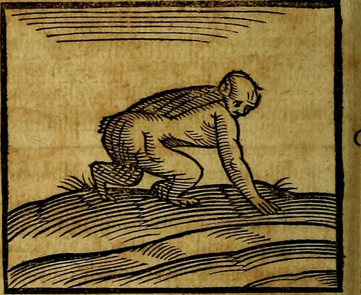An illustration from Ioannis Pierii Valeriani Bellvnesis Hieroglyphica, sive De sacris Aegypticrvm aliarumq[ue] gentium literis, commentariorum libri LVIII cum duobus alijs ab eruditissimo viro annexis. Accesserunt loco auctarij, Hieroglyphicorum collectanea, ex veteribus & recentioribus auctoribus descripta, & in sex libros digesta. Horapollinis item hieroglyphicorum libri duo, ex postrema Dauidis Hoeschelij correctione. Praetereà eiusdem Pierij declamatiuncula Pro barbis sacerdotum, & reliqua opuscula siue Poemata omnia, 1614, leaf 139