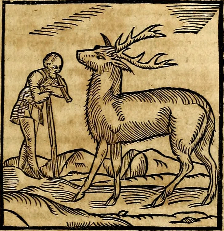 An illustration from Ioannis Pierii Valeriani Bellvnesis Hieroglyphica, sive De sacris Aegypticrvm aliarumq[ue] gentium literis, commentariorum libri LVIII cum duobus alijs ab eruditissimo viro annexis. Accesserunt loco auctarij, Hieroglyphicorum collectanea, ex veteribus & recentioribus auctoribus descripta, & in sex libros digesta. Horapollinis item hieroglyphicorum libri duo, ex postrema Dauidis Hoeschelij correctione. Praetereà eiusdem Pierij declamatiuncula Pro barbis sacerdotum, & reliqua opuscula siue Poemata omnia, 1614, leaf 142