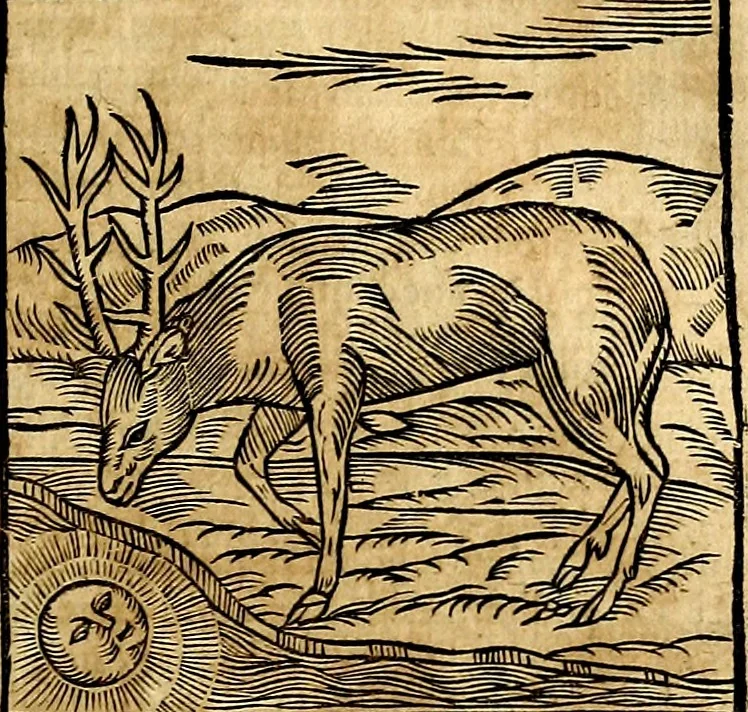 An illustration from Ioannis Pierii Valeriani Bellvnesis Hieroglyphica, sive De sacris Aegypticrvm aliarumq[ue] gentium literis, commentariorum libri LVIII cum duobus alijs ab eruditissimo viro annexis. Accesserunt loco auctarij, Hieroglyphicorum collectanea, ex veteribus & recentioribus auctoribus descripta, & in sex libros digesta. Horapollinis item hieroglyphicorum libri duo, ex postrema Dauidis Hoeschelij correctione. Praetereà eiusdem Pierij declamatiuncula Pro barbis sacerdotum, & reliqua opuscula siue Poemata omnia, 1614, leaf 148