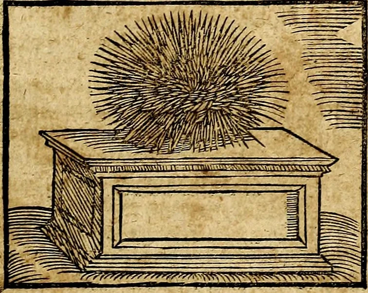 An illustration from Ioannis Pierii Valeriani Bellvnesis Hieroglyphica, sive De sacris Aegypticrvm aliarumq[ue] gentium literis, commentariorum libri LVIII cum duobus alijs ab eruditissimo viro annexis. Accesserunt loco auctarij, Hieroglyphicorum collectanea, ex veteribus & recentioribus auctoribus descripta, & in sex libros digesta. Horapollinis item hieroglyphicorum libri duo, ex postrema Dauidis Hoeschelij correctione. Praetereà eiusdem Pierij declamatiuncula Pro barbis sacerdotum, & reliqua opuscula siue Poemata omnia, 1614, leaf 160