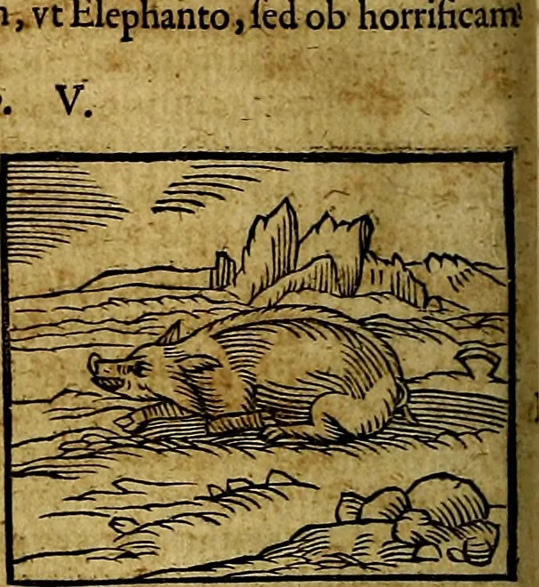 An illustration from Ioannis Pierii Valeriani Bellvnesis Hieroglyphica, sive De sacris Aegypticrvm aliarumq[ue] gentium literis, commentariorum libri LVIII cum duobus alijs ab eruditissimo viro annexis. Accesserunt loco auctarij, Hieroglyphicorum collectanea, ex veteribus & recentioribus auctoribus descripta, & in sex libros digesta. Horapollinis item hieroglyphicorum libri duo, ex postrema Dauidis Hoeschelij correctione. Praetereà eiusdem Pierij declamatiuncula Pro barbis sacerdotum, & reliqua opuscula siue Poemata omnia, 1614, leaf 163