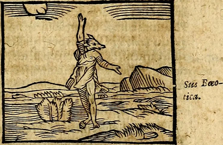 An illustration from Ioannis Pierii Valeriani Bellvnesis Hieroglyphica, sive De sacris Aegypticrvm aliarumq[ue] gentium literis, commentariorum libri LVIII cum duobus alijs ab eruditissimo viro annexis. Accesserunt loco auctarij, Hieroglyphicorum collectanea, ex veteribus & recentioribus auctoribus descripta, & in sex libros digesta. Horapollinis item hieroglyphicorum libri duo, ex postrema Dauidis Hoeschelij correctione. Praetereà eiusdem Pierij declamatiuncula Pro barbis sacerdotum, & reliqua opuscula siue Poemata omnia, 1614, leaf 166