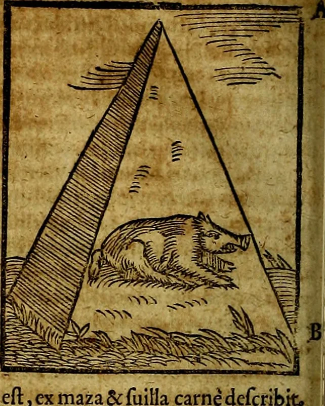 An illustration from Ioannis Pierii Valeriani Bellvnesis Hieroglyphica, sive De sacris Aegypticrvm aliarumq[ue] gentium literis, commentariorum libri LVIII cum duobus alijs ab eruditissimo viro annexis. Accesserunt loco auctarij, Hieroglyphicorum collectanea, ex veteribus & recentioribus auctoribus descripta, & in sex libros digesta. Horapollinis item hieroglyphicorum libri duo, ex postrema Dauidis Hoeschelij correctione. Praetereà eiusdem Pierij declamatiuncula Pro barbis sacerdotum, & reliqua opuscula siue Poemata omnia, 1614, leaf 167