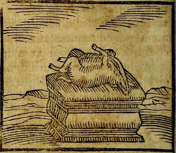 An illustration from Ioannis Pierii Valeriani Bellvnesis Hieroglyphica, sive De sacris Aegypticrvm aliarumq[ue] gentium literis, commentariorum libri LVIII cum duobus alijs ab eruditissimo viro annexis. Accesserunt loco auctarij, Hieroglyphicorum collectanea, ex veteribus & recentioribus auctoribus descripta, & in sex libros digesta. Horapollinis item hieroglyphicorum libri duo, ex postrema Dauidis Hoeschelij correctione. Praetereà eiusdem Pierij declamatiuncula Pro barbis sacerdotum, & reliqua opuscula siue Poemata omnia, 1614, leaf 171
