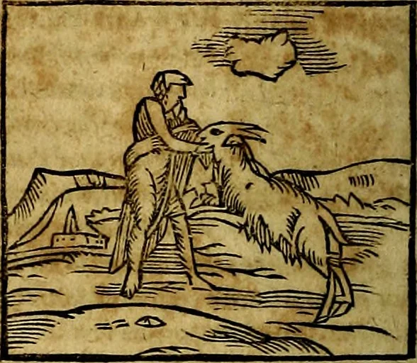 An illustration from Ioannis Pierii Valeriani Bellvnesis Hieroglyphica, sive De sacris Aegypticrvm aliarumq[ue] gentium literis, commentariorum libri LVIII cum duobus alijs ab eruditissimo viro annexis. Accesserunt loco auctarij, Hieroglyphicorum collectanea, ex veteribus & recentioribus auctoribus descripta, & in sex libros digesta. Horapollinis item hieroglyphicorum libri duo, ex postrema Dauidis Hoeschelij correctione. Praetereà eiusdem Pierij declamatiuncula Pro barbis sacerdotum, & reliqua opuscula siue Poemata omnia, 1614, leaf 175
