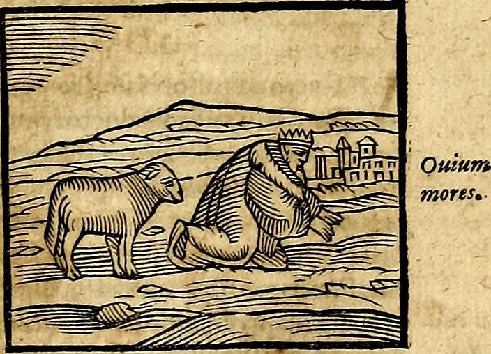 An illustration from Ioannis Pierii Valeriani Bellvnesis Hieroglyphica, sive De sacris Aegypticrvm aliarumq[ue] gentium literis, commentariorum libri LVIII cum duobus alijs ab eruditissimo viro annexis. Accesserunt loco auctarij, Hieroglyphicorum collectanea, ex veteribus & recentioribus auctoribus descripta, & in sex libros digesta. Horapollinis item hieroglyphicorum libri duo, ex postrema Dauidis Hoeschelij correctione. Praetereà eiusdem Pierij declamatiuncula Pro barbis sacerdotum, & reliqua opuscula siue Poemata omnia, 1614, leaf 180