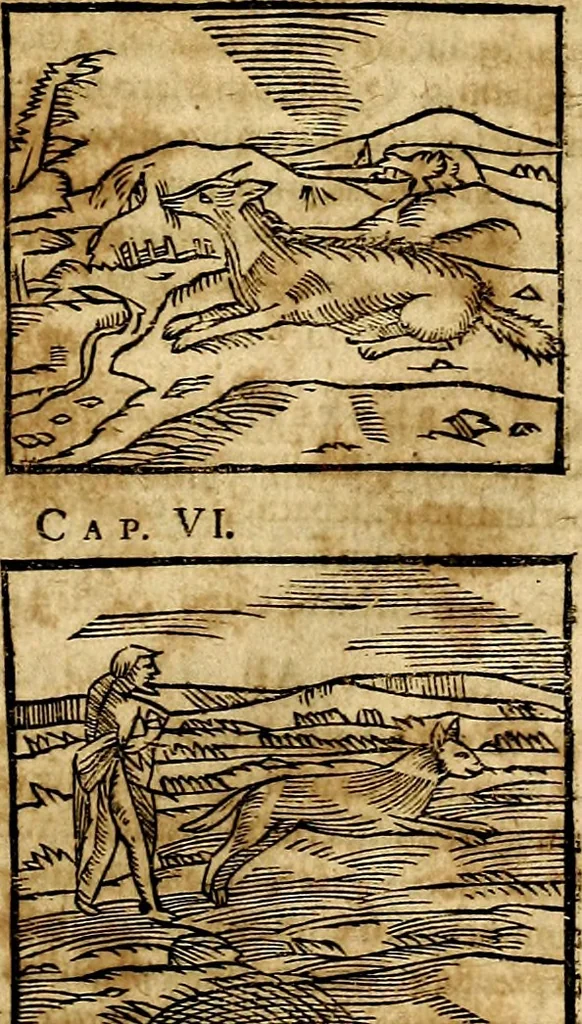 An illustration from Ioannis Pierii Valeriani Bellvnesis Hieroglyphica, sive De sacris Aegypticrvm aliarumq[ue] gentium literis, commentariorum libri LVIII cum duobus alijs ab eruditissimo viro annexis. Accesserunt loco auctarij, Hieroglyphicorum collectanea, ex veteribus & recentioribus auctoribus descripta, & in sex libros digesta. Horapollinis item hieroglyphicorum libri duo, ex postrema Dauidis Hoeschelij correctione. Praetereà eiusdem Pierij declamatiuncula Pro barbis sacerdotum, & reliqua opuscula siue Poemata omnia, 1614, leaf 190