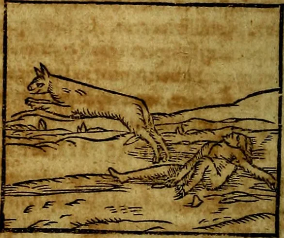 An illustration from Ioannis Pierii Valeriani Bellvnesis Hieroglyphica, sive De sacris Aegypticrvm aliarumq[ue] gentium literis, commentariorum libri LVIII cum duobus alijs ab eruditissimo viro annexis. Accesserunt loco auctarij, Hieroglyphicorum collectanea, ex veteribus & recentioribus auctoribus descripta, & in sex libros digesta. Horapollinis item hieroglyphicorum libri duo, ex postrema Dauidis Hoeschelij correctione. Praetereà eiusdem Pierij declamatiuncula Pro barbis sacerdotum, & reliqua opuscula siue Poemata omnia, 1614, leaf 191