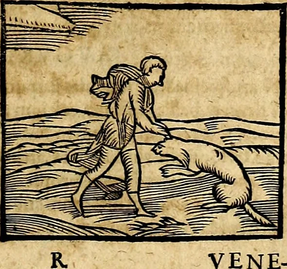An illustration from Ioannis Pierii Valeriani Bellvnesis Hieroglyphica, sive De sacris Aegypticrvm aliarumq[ue] gentium literis, commentariorum libri LVIII cum duobus alijs ab eruditissimo viro annexis. Accesserunt loco auctarij, Hieroglyphicorum collectanea, ex veteribus & recentioribus auctoribus descripta, & in sex libros digesta. Horapollinis item hieroglyphicorum libri duo, ex postrema Dauidis Hoeschelij correctione. Praetereà eiusdem Pierij declamatiuncula Pro barbis sacerdotum, & reliqua opuscula siue Poemata omnia, 1614, leaf 192