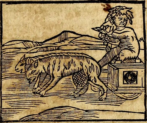 An illustration from Ioannis Pierii Valeriani Bellvnesis Hieroglyphica, sive De sacris Aegypticrvm aliarumq[ue] gentium literis, commentariorum libri LVIII cum duobus alijs ab eruditissimo viro annexis. Accesserunt loco auctarij, Hieroglyphicorum collectanea, ex veteribus & recentioribus auctoribus descripta, & in sex libros digesta. Horapollinis item hieroglyphicorum libri duo, ex postrema Dauidis Hoeschelij correctione. Praetereà eiusdem Pierij declamatiuncula Pro barbis sacerdotum, & reliqua opuscula siue Poemata omnia, 1614, leaf 198