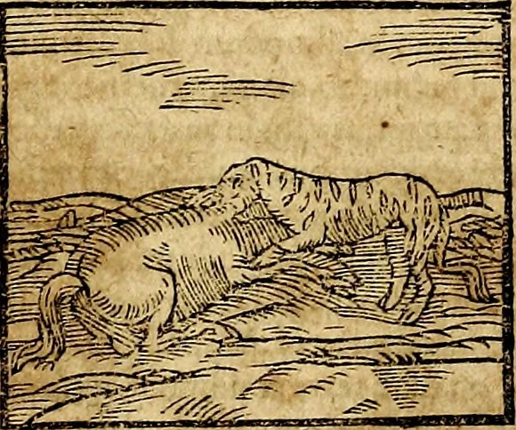 An illustration from Ioannis Pierii Valeriani Bellvnesis Hieroglyphica, sive De sacris Aegypticrvm aliarumq[ue] gentium literis, commentariorum libri LVIII cum duobus alijs ab eruditissimo viro annexis. Accesserunt loco auctarij, Hieroglyphicorum collectanea, ex veteribus & recentioribus auctoribus descripta, & in sex libros digesta. Horapollinis item hieroglyphicorum libri duo, ex postrema Dauidis Hoeschelij correctione. Praetereà eiusdem Pierij declamatiuncula Pro barbis sacerdotum, & reliqua opuscula siue Poemata omnia, 1614, leaf 198