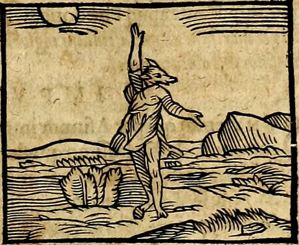 An illustration from Ioannis Pierii Valeriani Bellvnesis Hieroglyphica, sive De sacris Aegypticrvm aliarumq[ue] gentium literis, commentariorum libri LVIII cum duobus alijs ab eruditissimo viro annexis. Accesserunt loco auctarij, Hieroglyphicorum collectanea, ex veteribus & recentioribus auctoribus descripta, & in sex libros digesta. Horapollinis item hieroglyphicorum libri duo, ex postrema Dauidis Hoeschelij correctione. Praetereà eiusdem Pierij declamatiuncula Pro barbis sacerdotum, & reliqua opuscula siue Poemata omnia, 1614, leaf 202
