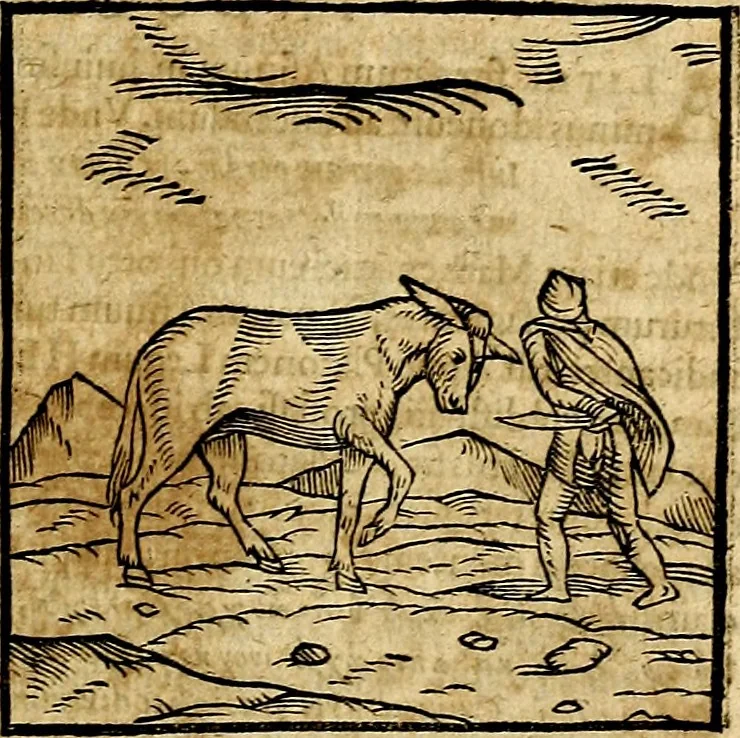 An illustration from Ioannis Pierii Valeriani Bellvnesis Hieroglyphica, sive De sacris Aegypticrvm aliarumq[ue] gentium literis, commentariorum libri LVIII cum duobus alijs ab eruditissimo viro annexis. Accesserunt loco auctarij, Hieroglyphicorum collectanea, ex veteribus & recentioribus auctoribus descripta, & in sex libros digesta. Horapollinis item hieroglyphicorum libri duo, ex postrema Dauidis Hoeschelij correctione. Praetereà eiusdem Pierij declamatiuncula Pro barbis sacerdotum, & reliqua opuscula siue Poemata omnia, 1614, leaf 204