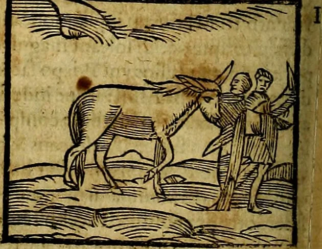 An illustration from Ioannis Pierii Valeriani Bellvnesis Hieroglyphica, sive De sacris Aegypticrvm aliarumq[ue] gentium literis, commentariorum libri LVIII cum duobus alijs ab eruditissimo viro annexis. Accesserunt loco auctarij, Hieroglyphicorum collectanea, ex veteribus & recentioribus auctoribus descripta, & in sex libros digesta. Horapollinis item hieroglyphicorum libri duo, ex postrema Dauidis Hoeschelij correctione. Praetereà eiusdem Pierij declamatiuncula Pro barbis sacerdotum, & reliqua opuscula siue Poemata omnia, 1614, leaf 205
