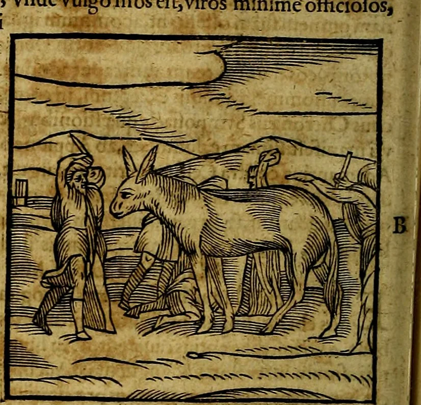 An illustration from Ioannis Pierii Valeriani Bellvnesis Hieroglyphica, sive De sacris Aegypticrvm aliarumq[ue] gentium literis, commentariorum libri LVIII cum duobus alijs ab eruditissimo viro annexis. Accesserunt loco auctarij, Hieroglyphicorum collectanea, ex veteribus & recentioribus auctoribus descripta, & in sex libros digesta. Horapollinis item hieroglyphicorum libri duo, ex postrema Dauidis Hoeschelij correctione. Praetereà eiusdem Pierij declamatiuncula Pro barbis sacerdotum, & reliqua opuscula siue Poemata omnia, 1614, leaf 207