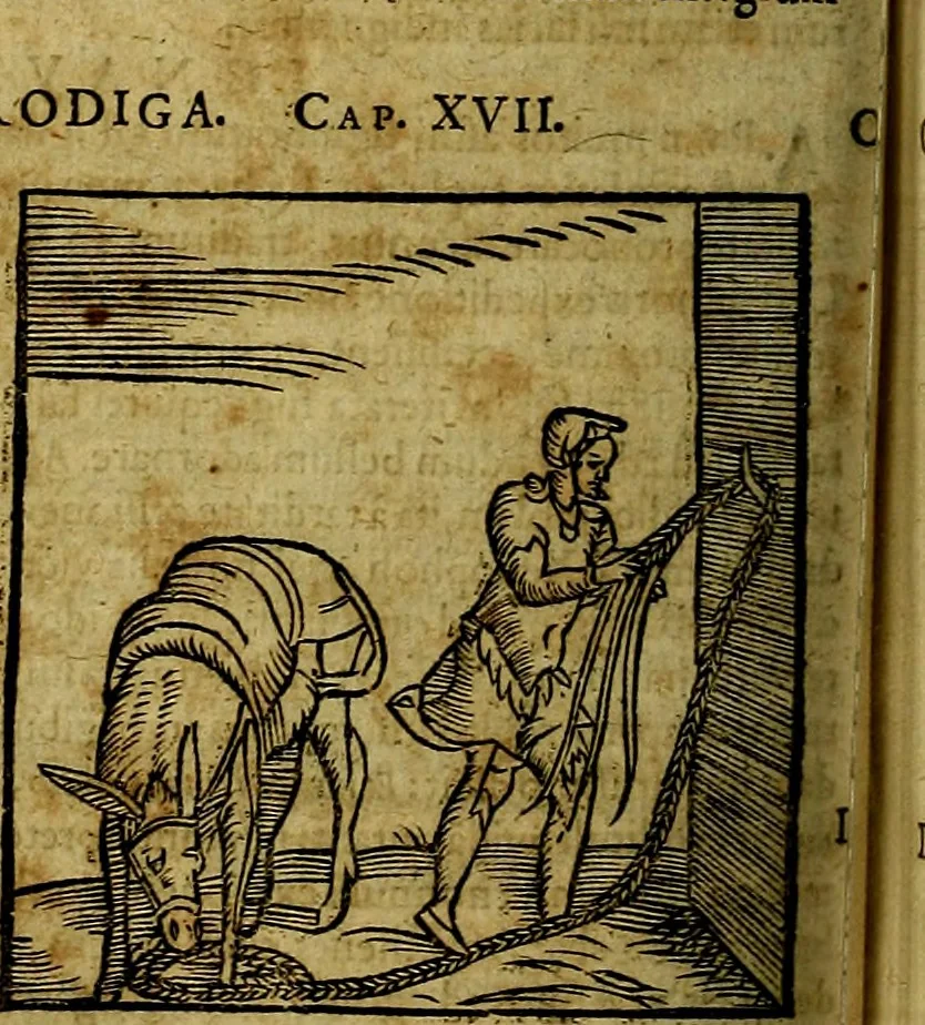 An illustration from Ioannis Pierii Valeriani Bellvnesis Hieroglyphica, sive De sacris Aegypticrvm aliarumq[ue] gentium literis, commentariorum libri LVIII cum duobus alijs ab eruditissimo viro annexis. Accesserunt loco auctarij, Hieroglyphicorum collectanea, ex veteribus & recentioribus auctoribus descripta, & in sex libros digesta. Horapollinis item hieroglyphicorum libri duo, ex postrema Dauidis Hoeschelij correctione. Praetereà eiusdem Pierij declamatiuncula Pro barbis sacerdotum, & reliqua opuscula siue Poemata omnia, 1614, leaf 207