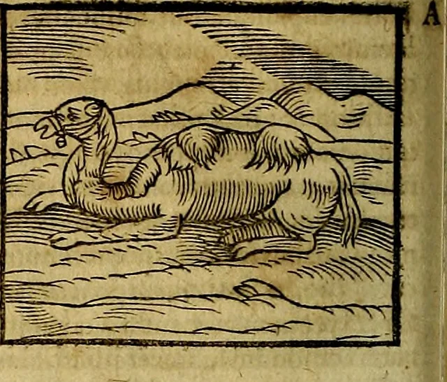 An illustration from Ioannis Pierii Valeriani Bellvnesis Hieroglyphica, sive De sacris Aegypticrvm aliarumq[ue] gentium literis, commentariorum libri LVIII cum duobus alijs ab eruditissimo viro annexis. Accesserunt loco auctarij, Hieroglyphicorum collectanea, ex veteribus & recentioribus auctoribus descripta, & in sex libros digesta. Horapollinis item hieroglyphicorum libri duo, ex postrema Dauidis Hoeschelij correctione. Praetereà eiusdem Pierij declamatiuncula Pro barbis sacerdotum, & reliqua opuscula siue Poemata omnia, 1614, leaf 213