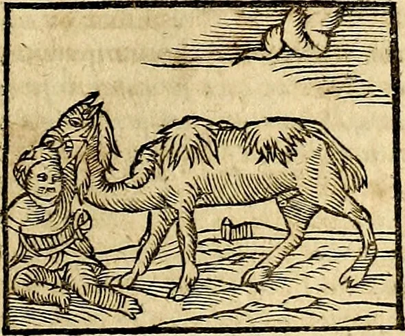 An illustration from Ioannis Pierii Valeriani Bellvnesis Hieroglyphica, sive De sacris Aegypticrvm aliarumq[ue] gentium literis, commentariorum libri LVIII cum duobus alijs ab eruditissimo viro annexis. Accesserunt loco auctarij, Hieroglyphicorum collectanea, ex veteribus & recentioribus auctoribus descripta, & in sex libros digesta. Horapollinis item hieroglyphicorum libri duo, ex postrema Dauidis Hoeschelij correctione. Praetereà eiusdem Pierij declamatiuncula Pro barbis sacerdotum, & reliqua opuscula siue Poemata omnia, 1614, leaf 214