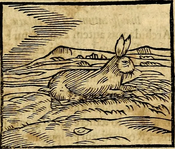 An illustration from Ioannis Pierii Valeriani Bellvnesis Hieroglyphica, sive De sacris Aegypticrvm aliarumq[ue] gentium literis, commentariorum libri LVIII cum duobus alijs ab eruditissimo viro annexis. Accesserunt loco auctarij, Hieroglyphicorum collectanea, ex veteribus & recentioribus auctoribus descripta, & in sex libros digesta. Horapollinis item hieroglyphicorum libri duo, ex postrema Dauidis Hoeschelij correctione. Praetereà eiusdem Pierij declamatiuncula Pro barbis sacerdotum, & reliqua opuscula siue Poemata omnia, 1614, leaf 216
