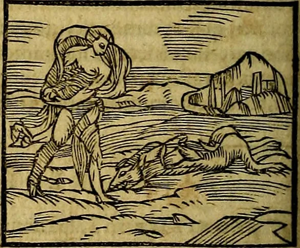 An illustration from Ioannis Pierii Valeriani Bellvnesis Hieroglyphica, sive De sacris Aegypticrvm aliarumq[ue] gentium literis, commentariorum libri LVIII cum duobus alijs ab eruditissimo viro annexis. Accesserunt loco auctarij, Hieroglyphicorum collectanea, ex veteribus & recentioribus auctoribus descripta, & in sex libros digesta. Horapollinis item hieroglyphicorum libri duo, ex postrema Dauidis Hoeschelij correctione. Praetereà eiusdem Pierij declamatiuncula Pro barbis sacerdotum, & reliqua opuscula siue Poemata omnia, 1614, leaf 223