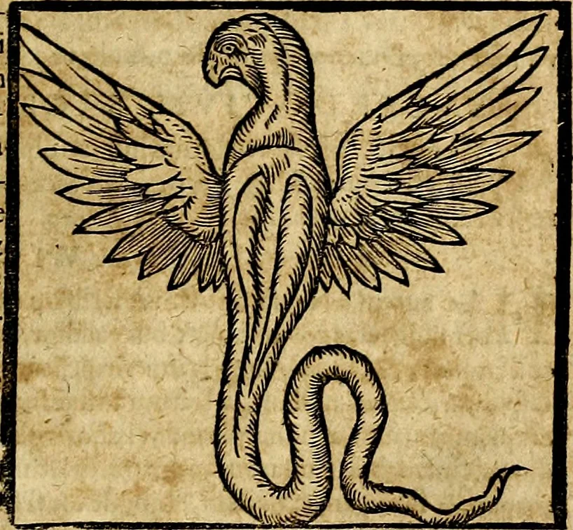 An illustration from Ioannis Pierii Valeriani Bellvnesis Hieroglyphica, sive De sacris Aegypticrvm aliarumq[ue] gentium literis, commentariorum libri LVIII cum duobus alijs ab eruditissimo viro annexis. Accesserunt loco auctarij, Hieroglyphicorum collectanea, ex veteribus & recentioribus auctoribus descripta, & in sex libros digesta. Horapollinis item hieroglyphicorum libri duo, ex postrema Dauidis Hoeschelij correctione. Praetereà eiusdem Pierij declamatiuncula Pro barbis sacerdotum, & reliqua opuscula siue Poemata omnia, 1614, leaf 234