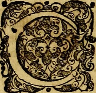 An illustration from Ioannis Pierii Valeriani Bellvnesis Hieroglyphica, sive De sacris Aegypticrvm aliarumq[ue] gentium literis, commentariorum libri LVIII cum duobus alijs ab eruditissimo viro annexis. Accesserunt loco auctarij, Hieroglyphicorum collectanea, ex veteribus & recentioribus auctoribus descripta, & in sex libros digesta. Horapollinis item hieroglyphicorum libri duo, ex postrema Dauidis Hoeschelij correctione. Praetereà eiusdem Pierij declamatiuncula Pro barbis sacerdotum, & reliqua opuscula siue Poemata omnia, 1614, leaf 243
