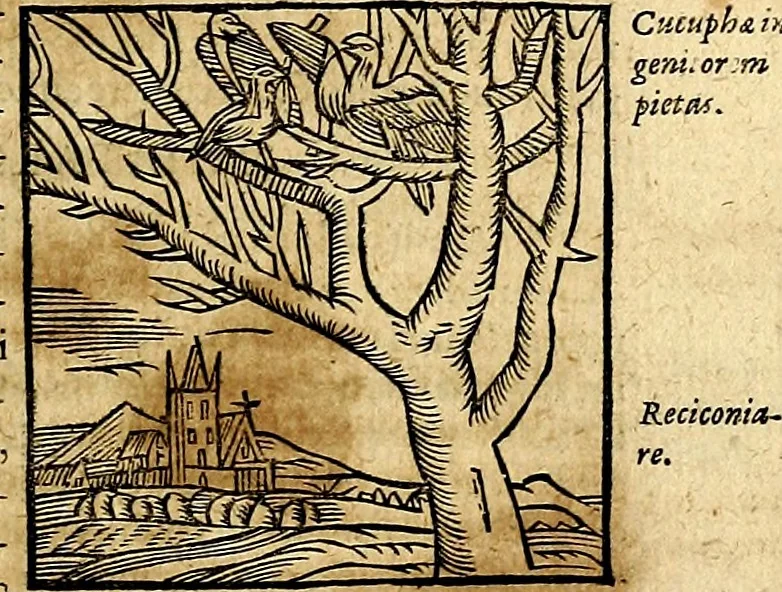 An illustration from Ioannis Pierii Valeriani Bellvnesis Hieroglyphica, sive De sacris Aegypticrvm aliarumq[ue] gentium literis, commentariorum libri LVIII cum duobus alijs ab eruditissimo viro annexis. Accesserunt loco auctarij, Hieroglyphicorum collectanea, ex veteribus & recentioribus auctoribus descripta, & in sex libros digesta. Horapollinis item hieroglyphicorum libri duo, ex postrema Dauidis Hoeschelij correctione. Praetereà eiusdem Pierij declamatiuncula Pro barbis sacerdotum, & reliqua opuscula siue Poemata omnia, 1614, leaf 268