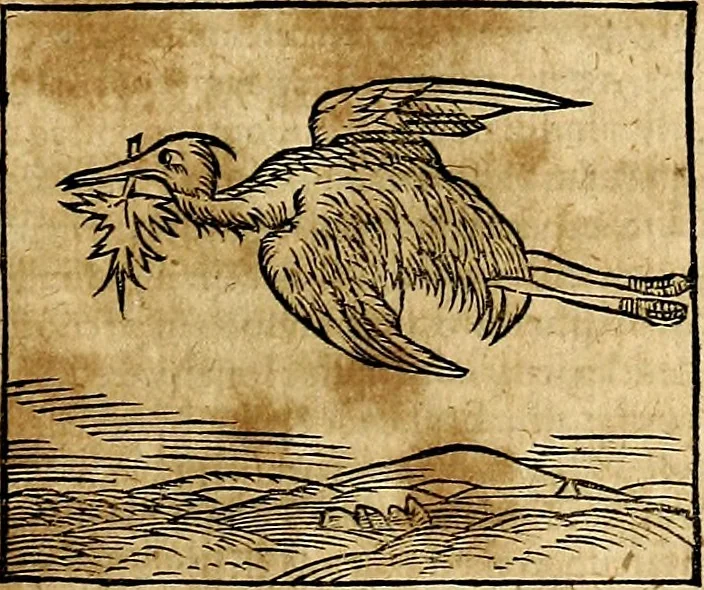 An illustration from Ioannis Pierii Valeriani Bellvnesis Hieroglyphica, sive De sacris Aegypticrvm aliarumq[ue] gentium literis, commentariorum libri LVIII cum duobus alijs ab eruditissimo viro annexis. Accesserunt loco auctarij, Hieroglyphicorum collectanea, ex veteribus & recentioribus auctoribus descripta, & in sex libros digesta. Horapollinis item hieroglyphicorum libri duo, ex postrema Dauidis Hoeschelij correctione. Praetereà eiusdem Pierij declamatiuncula Pro barbis sacerdotum, & reliqua opuscula siue Poemata omnia, 1614, leaf 268