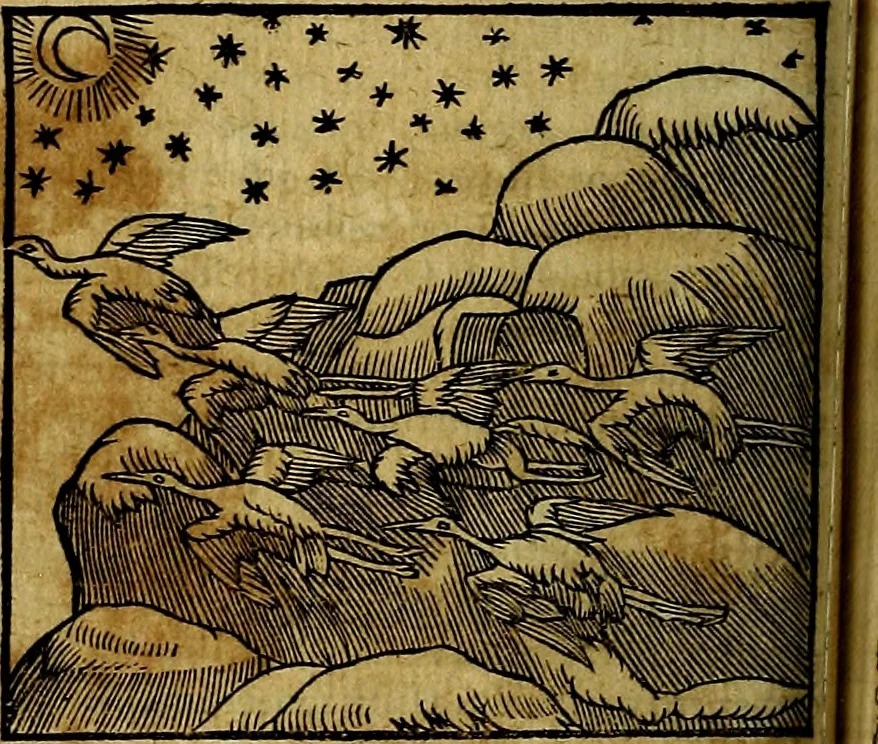 An illustration from Ioannis Pierii Valeriani Bellvnesis Hieroglyphica, sive De sacris Aegypticrvm aliarumq[ue] gentium literis, commentariorum libri LVIII cum duobus alijs ab eruditissimo viro annexis. Accesserunt loco auctarij, Hieroglyphicorum collectanea, ex veteribus & recentioribus auctoribus descripta, & in sex libros digesta. Horapollinis item hieroglyphicorum libri duo, ex postrema Dauidis Hoeschelij correctione. Praetereà eiusdem Pierij declamatiuncula Pro barbis sacerdotum, & reliqua opuscula siue Poemata omnia, 1614, leaf 269