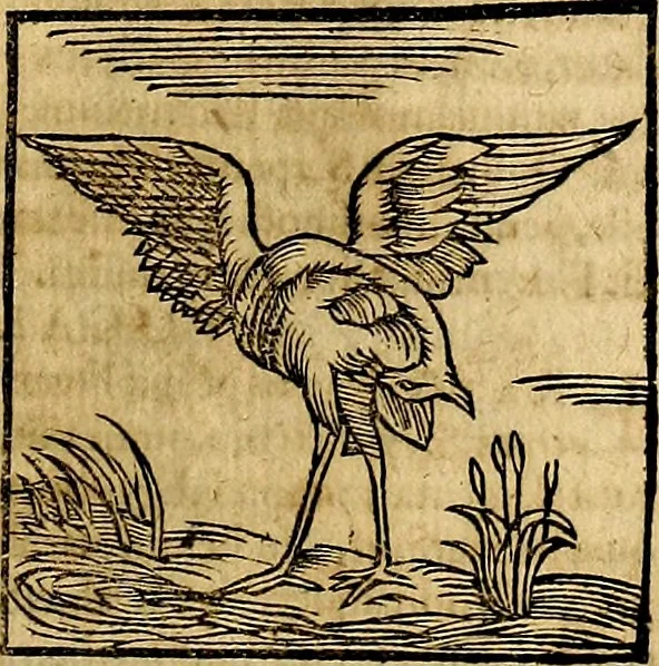 An illustration from Ioannis Pierii Valeriani Bellvnesis Hieroglyphica, sive De sacris Aegypticrvm aliarumq[ue] gentium literis, commentariorum libri LVIII cum duobus alijs ab eruditissimo viro annexis. Accesserunt loco auctarij, Hieroglyphicorum collectanea, ex veteribus & recentioribus auctoribus descripta, & in sex libros digesta. Horapollinis item hieroglyphicorum libri duo, ex postrema Dauidis Hoeschelij correctione. Praetereà eiusdem Pierij declamatiuncula Pro barbis sacerdotum, & reliqua opuscula siue Poemata omnia, 1614, leaf 272