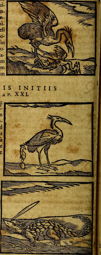 An illustration from Ioannis Pierii Valeriani Bellvnesis Hieroglyphica, sive De sacris Aegypticrvm aliarumq[ue] gentium literis, commentariorum libri LVIII cum duobus alijs ab eruditissimo viro annexis. Accesserunt loco auctarij, Hieroglyphicorum collectanea, ex veteribus & recentioribus auctoribus descripta, & in sex libros digesta. Horapollinis item hieroglyphicorum libri duo, ex postrema Dauidis Hoeschelij correctione. Praetereà eiusdem Pierij declamatiuncula Pro barbis sacerdotum, & reliqua opuscula siue Poemata omnia, 1614, leaf 273