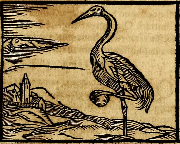 An illustration from Ioannis Pierii Valeriani Bellvnesis Hieroglyphica, sive De sacris Aegypticrvm aliarumq[ue] gentium literis, commentariorum libri LVIII cum duobus alijs ab eruditissimo viro annexis. Accesserunt loco auctarij, Hieroglyphicorum collectanea, ex veteribus & recentioribus auctoribus descripta, & in sex libros digesta. Horapollinis item hieroglyphicorum libri duo, ex postrema Dauidis Hoeschelij correctione. Praetereà eiusdem Pierij declamatiuncula Pro barbis sacerdotum, & reliqua opuscula siue Poemata omnia, 1614, leaf 274