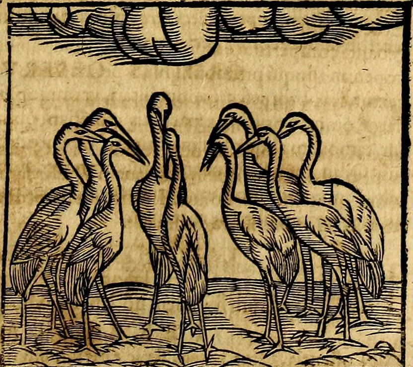 An illustration from Ioannis Pierii Valeriani Bellvnesis Hieroglyphica, sive De sacris Aegypticrvm aliarumq[ue] gentium literis, commentariorum libri LVIII cum duobus alijs ab eruditissimo viro annexis. Accesserunt loco auctarij, Hieroglyphicorum collectanea, ex veteribus & recentioribus auctoribus descripta, & in sex libros digesta. Horapollinis item hieroglyphicorum libri duo, ex postrema Dauidis Hoeschelij correctione. Praetereà eiusdem Pierij declamatiuncula Pro barbis sacerdotum, & reliqua opuscula siue Poemata omnia, 1614, leaf 274