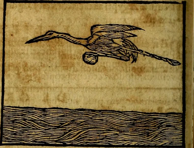 An illustration from Ioannis Pierii Valeriani Bellvnesis Hieroglyphica, sive De sacris Aegypticrvm aliarumq[ue] gentium literis, commentariorum libri LVIII cum duobus alijs ab eruditissimo viro annexis. Accesserunt loco auctarij, Hieroglyphicorum collectanea, ex veteribus & recentioribus auctoribus descripta, & in sex libros digesta. Horapollinis item hieroglyphicorum libri duo, ex postrema Dauidis Hoeschelij correctione. Praetereà eiusdem Pierij declamatiuncula Pro barbis sacerdotum, & reliqua opuscula siue Poemata omnia, 1614, leaf 275