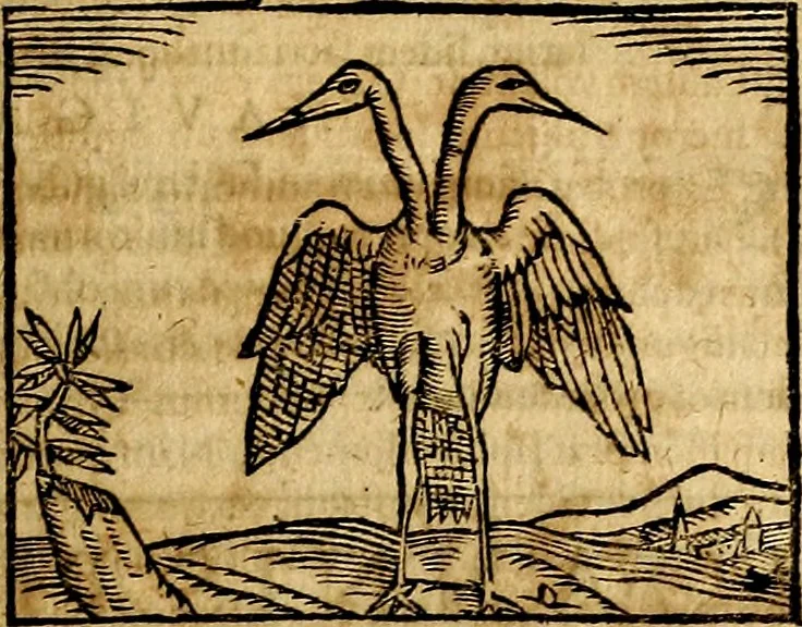 An illustration from Ioannis Pierii Valeriani Bellvnesis Hieroglyphica, sive De sacris Aegypticrvm aliarumq[ue] gentium literis, commentariorum libri LVIII cum duobus alijs ab eruditissimo viro annexis. Accesserunt loco auctarij, Hieroglyphicorum collectanea, ex veteribus & recentioribus auctoribus descripta, & in sex libros digesta. Horapollinis item hieroglyphicorum libri duo, ex postrema Dauidis Hoeschelij correctione. Praetereà eiusdem Pierij declamatiuncula Pro barbis sacerdotum, & reliqua opuscula siue Poemata omnia, 1614, leaf 276