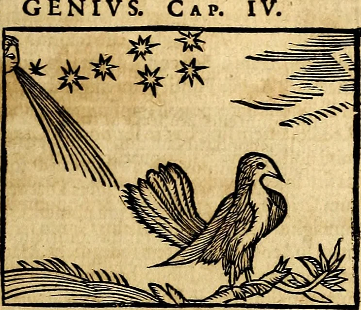 An illustration from Ioannis Pierii Valeriani Bellvnesis Hieroglyphica, sive De sacris Aegypticrvm aliarumq[ue] gentium literis, commentariorum libri LVIII cum duobus alijs ab eruditissimo viro annexis. Accesserunt loco auctarij, Hieroglyphicorum collectanea, ex veteribus & recentioribus auctoribus descripta, & in sex libros digesta. Horapollinis item hieroglyphicorum libri duo, ex postrema Dauidis Hoeschelij correctione. Praetereà eiusdem Pierij declamatiuncula Pro barbis sacerdotum, & reliqua opuscula siue Poemata omnia, 1614, leaf 280