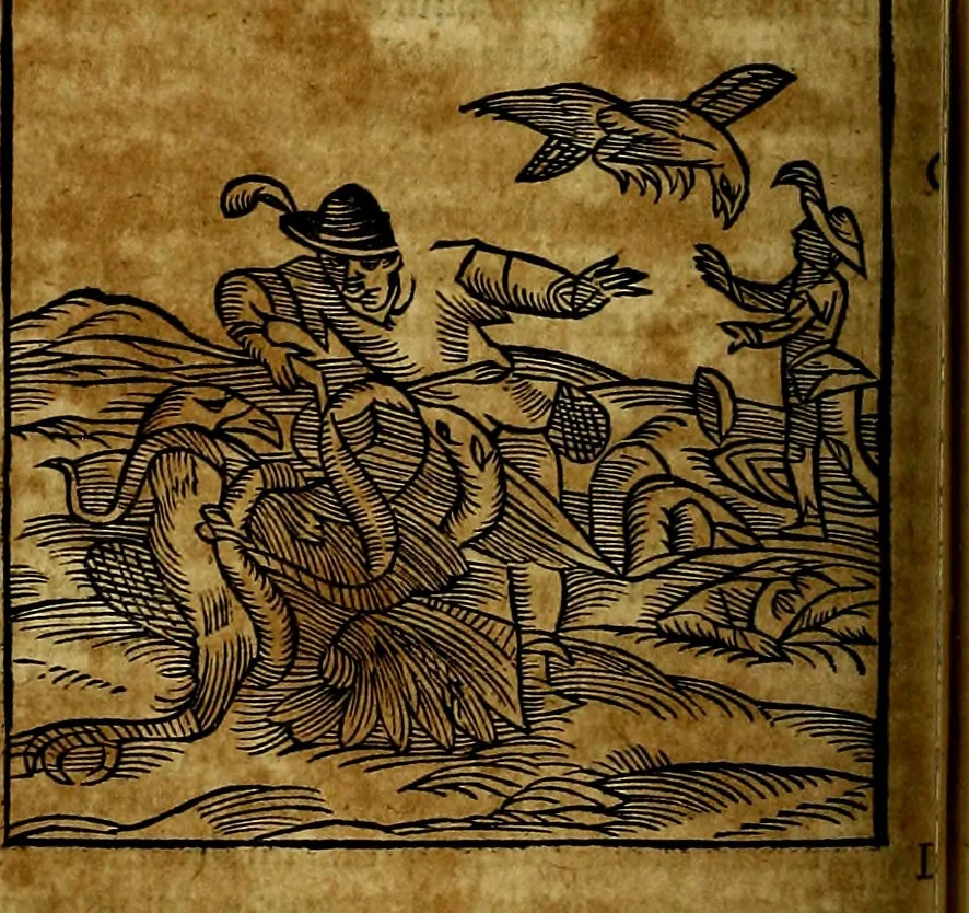 An illustration from Ioannis Pierii Valeriani Bellvnesis Hieroglyphica, sive De sacris Aegypticrvm aliarumq[ue] gentium literis, commentariorum libri LVIII cum duobus alijs ab eruditissimo viro annexis. Accesserunt loco auctarij, Hieroglyphicorum collectanea, ex veteribus & recentioribus auctoribus descripta, & in sex libros digesta. Horapollinis item hieroglyphicorum libri duo, ex postrema Dauidis Hoeschelij correctione. Praetereà eiusdem Pierij declamatiuncula Pro barbis sacerdotum, & reliqua opuscula siue Poemata omnia, 1614, leaf 293