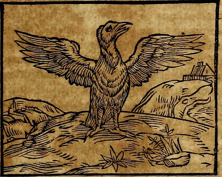 An illustration from Ioannis Pierii Valeriani Bellvnesis Hieroglyphica, sive De sacris Aegypticrvm aliarumq[ue] gentium literis, commentariorum libri LVIII cum duobus alijs ab eruditissimo viro annexis. Accesserunt loco auctarij, Hieroglyphicorum collectanea, ex veteribus & recentioribus auctoribus descripta, & in sex libros digesta. Horapollinis item hieroglyphicorum libri duo, ex postrema Dauidis Hoeschelij correctione. Praetereà eiusdem Pierij declamatiuncula Pro barbis sacerdotum, & reliqua opuscula siue Poemata omnia, 1614, leaf 302