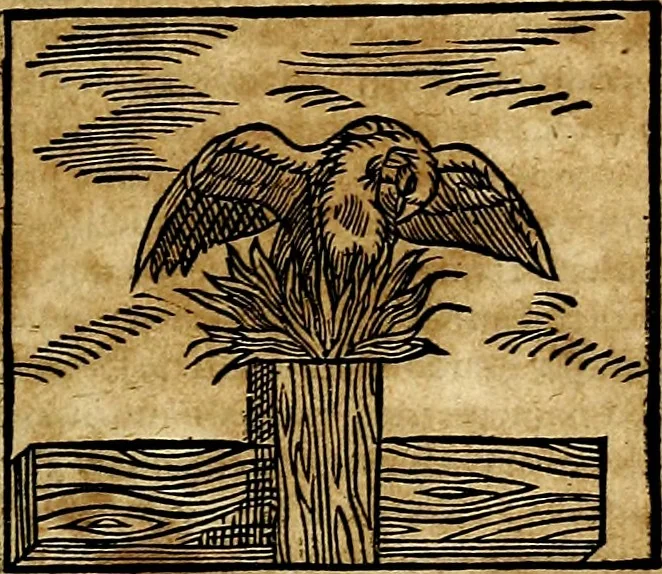An illustration from Ioannis Pierii Valeriani Bellvnesis Hieroglyphica, sive De sacris Aegypticrvm aliarumq[ue] gentium literis, commentariorum libri LVIII cum duobus alijs ab eruditissimo viro annexis. Accesserunt loco auctarij, Hieroglyphicorum collectanea, ex veteribus & recentioribus auctoribus descripta, & in sex libros digesta. Horapollinis item hieroglyphicorum libri duo, ex postrema Dauidis Hoeschelij correctione. Praetereà eiusdem Pierij declamatiuncula Pro barbis sacerdotum, & reliqua opuscula siue Poemata omnia, 1614, leaf 304