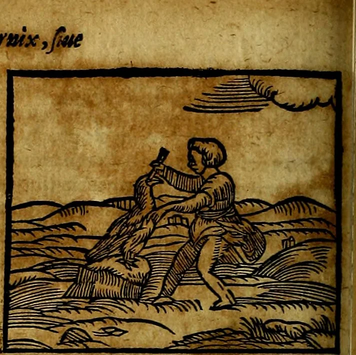 An illustration from Ioannis Pierii Valeriani Bellvnesis Hieroglyphica, sive De sacris Aegypticrvm aliarumq[ue] gentium literis, commentariorum libri LVIII cum duobus alijs ab eruditissimo viro annexis. Accesserunt loco auctarij, Hieroglyphicorum collectanea, ex veteribus & recentioribus auctoribus descripta, & in sex libros digesta. Horapollinis item hieroglyphicorum libri duo, ex postrema Dauidis Hoeschelij correctione. Praetereà eiusdem Pierij declamatiuncula Pro barbis sacerdotum, & reliqua opuscula siue Poemata omnia, 1614, leaf 311