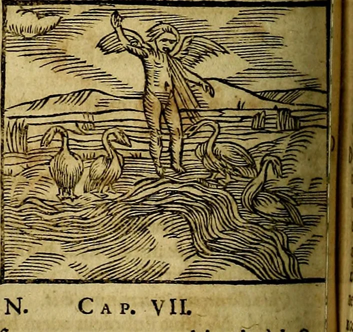 An illustration from Ioannis Pierii Valeriani Bellvnesis Hieroglyphica, sive De sacris Aegypticrvm aliarumq[ue] gentium literis, commentariorum libri LVIII cum duobus alijs ab eruditissimo viro annexis. Accesserunt loco auctarij, Hieroglyphicorum collectanea, ex veteribus & recentioribus auctoribus descripta, & in sex libros digesta. Horapollinis item hieroglyphicorum libri duo, ex postrema Dauidis Hoeschelij correctione. Praetereà eiusdem Pierij declamatiuncula Pro barbis sacerdotum, & reliqua opuscula siue Poemata omnia, 1614, leaf 337