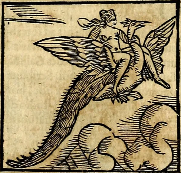 An illustration from Ioannis Pierii Valeriani Bellvnesis Hieroglyphica, sive De sacris Aegypticrvm aliarumq[ue] gentium literis, commentariorum libri LVIII cum duobus alijs ab eruditissimo viro annexis. Accesserunt loco auctarij, Hieroglyphicorum collectanea, ex veteribus & recentioribus auctoribus descripta, & in sex libros digesta. Horapollinis item hieroglyphicorum libri duo, ex postrema Dauidis Hoeschelij correctione. Praetereà eiusdem Pierij declamatiuncula Pro barbis sacerdotum, & reliqua opuscula siue Poemata omnia, 1614, leaf 348
