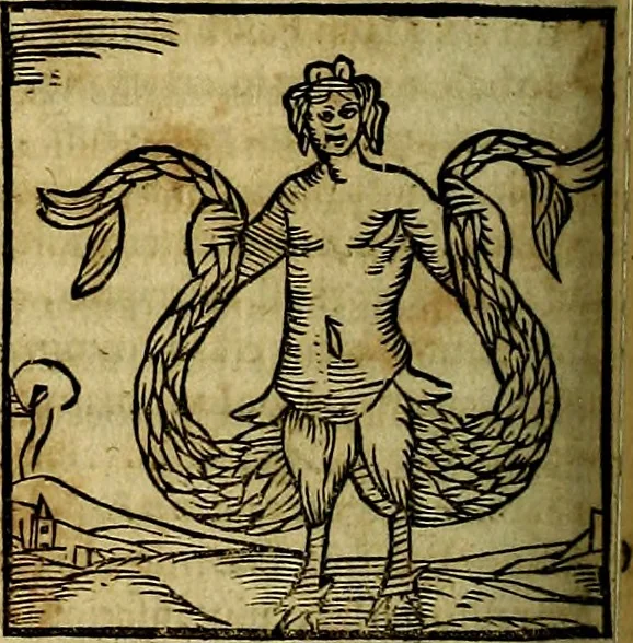 An illustration from Ioannis Pierii Valeriani Bellvnesis Hieroglyphica, sive De sacris Aegypticrvm aliarumq[ue] gentium literis, commentariorum libri LVIII cum duobus alijs ab eruditissimo viro annexis. Accesserunt loco auctarij, Hieroglyphicorum collectanea, ex veteribus & recentioribus auctoribus descripta, & in sex libros digesta. Horapollinis item hieroglyphicorum libri duo, ex postrema Dauidis Hoeschelij correctione. Praetereà eiusdem Pierij declamatiuncula Pro barbis sacerdotum, & reliqua opuscula siue Poemata omnia, 1614, leaf 349
