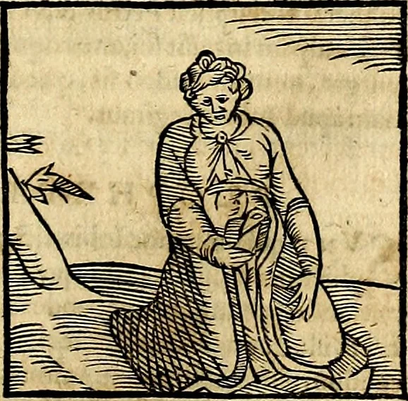 An illustration from Ioannis Pierii Valeriani Bellvnesis Hieroglyphica, sive De sacris Aegypticrvm aliarumq[ue] gentium literis, commentariorum libri LVIII cum duobus alijs ab eruditissimo viro annexis. Accesserunt loco auctarij, Hieroglyphicorum collectanea, ex veteribus & recentioribus auctoribus descripta, & in sex libros digesta. Horapollinis item hieroglyphicorum libri duo, ex postrema Dauidis Hoeschelij correctione. Praetereà eiusdem Pierij declamatiuncula Pro barbis sacerdotum, & reliqua opuscula siue Poemata omnia, 1614, leaf 350