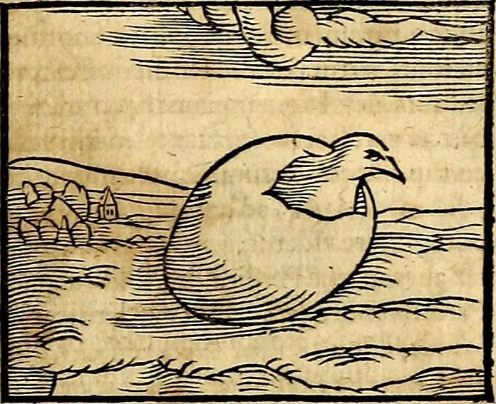 An illustration from Ioannis Pierii Valeriani Bellvnesis Hieroglyphica, sive De sacris Aegypticrvm aliarumq[ue] gentium literis, commentariorum libri LVIII cum duobus alijs ab eruditissimo viro annexis. Accesserunt loco auctarij, Hieroglyphicorum collectanea, ex veteribus & recentioribus auctoribus descripta, & in sex libros digesta. Horapollinis item hieroglyphicorum libri duo, ex postrema Dauidis Hoeschelij correctione. Praetereà eiusdem Pierij declamatiuncula Pro barbis sacerdotum, & reliqua opuscula siue Poemata omnia, 1614, leaf 356