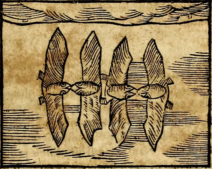 An illustration from Ioannis Pierii Valeriani Bellvnesis Hieroglyphica, sive De sacris Aegypticrvm aliarumq[ue] gentium literis, commentariorum libri LVIII cum duobus alijs ab eruditissimo viro annexis. Accesserunt loco auctarij, Hieroglyphicorum collectanea, ex veteribus & recentioribus auctoribus descripta, & in sex libros digesta. Horapollinis item hieroglyphicorum libri duo, ex postrema Dauidis Hoeschelij correctione. Praetereà eiusdem Pierij declamatiuncula Pro barbis sacerdotum, & reliqua opuscula siue Poemata omnia, 1614, leaf 362