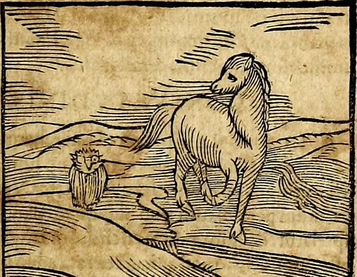 An illustration from Ioannis Pierii Valeriani Bellvnesis Hieroglyphica, sive De sacris Aegypticrvm aliarumq[ue] gentium literis, commentariorum libri LVIII cum duobus alijs ab eruditissimo viro annexis. Accesserunt loco auctarij, Hieroglyphicorum collectanea, ex veteribus & recentioribus auctoribus descripta, & in sex libros digesta. Horapollinis item hieroglyphicorum libri duo, ex postrema Dauidis Hoeschelij correctione. Praetereà eiusdem Pierij declamatiuncula Pro barbis sacerdotum, & reliqua opuscula siue Poemata omnia, 1614, leaf 364