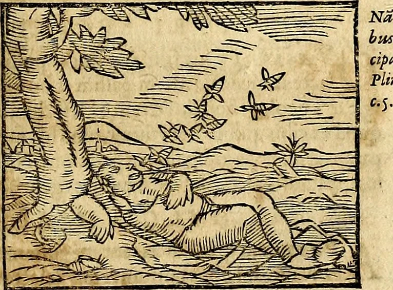 An illustration from Ioannis Pierii Valeriani Bellvnesis Hieroglyphica, sive De sacris Aegypticrvm aliarumq[ue] gentium literis, commentariorum libri LVIII cum duobus alijs ab eruditissimo viro annexis. Accesserunt loco auctarij, Hieroglyphicorum collectanea, ex veteribus & recentioribus auctoribus descripta, & in sex libros digesta. Horapollinis item hieroglyphicorum libri duo, ex postrema Dauidis Hoeschelij correctione. Praetereà eiusdem Pierij declamatiuncula Pro barbis sacerdotum, & reliqua opuscula siue Poemata omnia, 1614, leaf 374