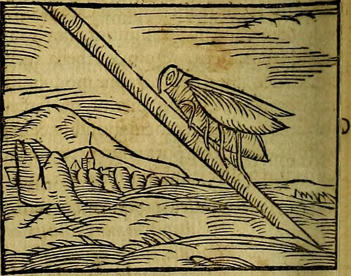 An illustration from Ioannis Pierii Valeriani Bellvnesis Hieroglyphica, sive De sacris Aegypticrvm aliarumq[ue] gentium literis, commentariorum libri LVIII cum duobus alijs ab eruditissimo viro annexis. Accesserunt loco auctarij, Hieroglyphicorum collectanea, ex veteribus & recentioribus auctoribus descripta, & in sex libros digesta. Horapollinis item hieroglyphicorum libri duo, ex postrema Dauidis Hoeschelij correctione. Praetereà eiusdem Pierij declamatiuncula Pro barbis sacerdotum, & reliqua opuscula siue Poemata omnia, 1614, leaf 377